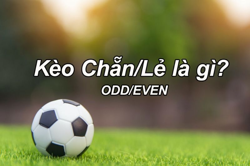 Kèo chẵn lẻ là gì? 